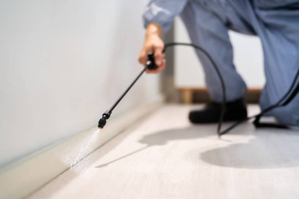 Licensed Pest Control service in Ashland, IL - Show Me Pest Control