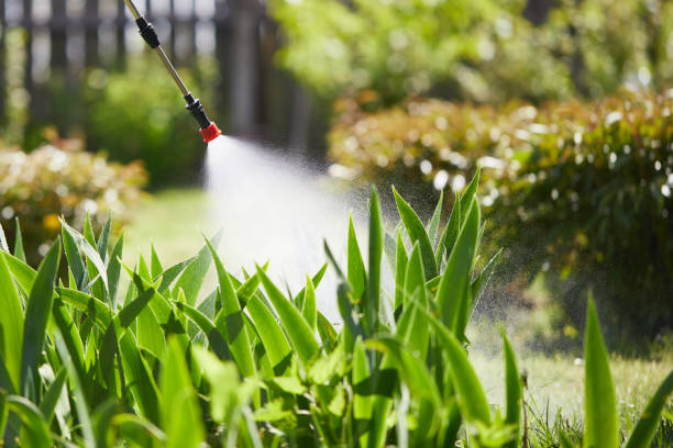24/7 Emergency Ant Control experts in Ashland, IL
