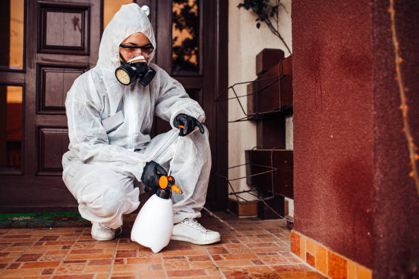 Reliable Ant Control contractor in Ashland, IL by Show Me Pest Control